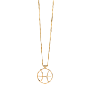 <p>Pisces Necklace available in rose gold, yellow gold and sterling silver</p>